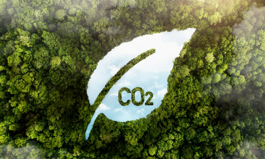 Vista aérea de uma floresta densa com um recorte central em formato de folha revelando o céu e o símbolo CO2. A imagem representa o mercado de carbono e a oportunidade de transformar a preservação ambiental em créditos e novas receitas para empresas.
